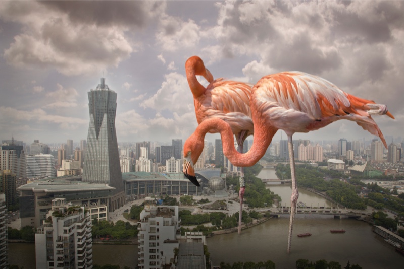 C:\Documents and Settings\闂€佸笀\妗岄潰\绗洓灞婃憚褰辩珵璧涜幏濂栦綔鍝侊紙鏁板獟鑹烘湳绯伙級\鏂逛腹鍗庛€婂煄甯傚寲杩涚▼涓庣敓鎬佺幆澧冮棶棰樹富棰樻憚褰便€媆 C:\Documents and Settings\闂€佸笀\妗岄潰\绗洓灞婃憚褰辩珵璧涜幏濂栦綔鍝侊紙鏁板獟鑹烘湳绯伙級\鏂逛腹鍗庛€婂煄甯傚寲杩涚▼涓庣敓鎬佺幆澧冮棶棰樹富棰樻憚褰便€媆